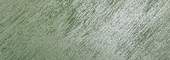 aloe green