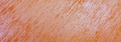 spring orange