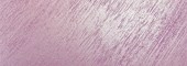 lilac violet